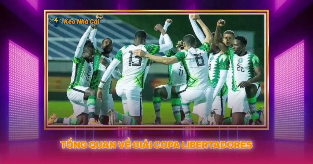 Giải Copa Libertadores | Phân Tích Kèo Nhà Cái Đỉnh Cao 2 Tổng Quan Về Giải Copa Libertadores